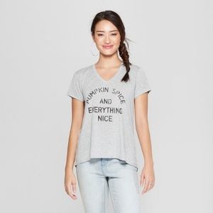 Pumpkin Spice and Everything Nice Graphic Tee Gray